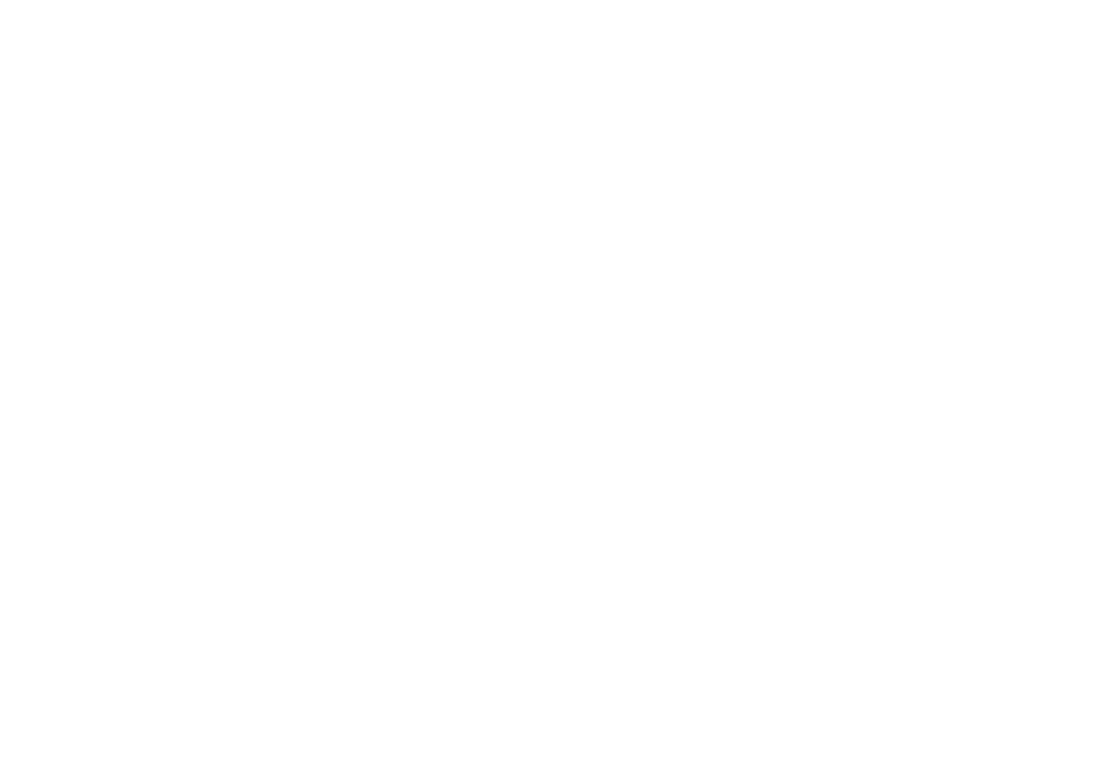 metricminds logo