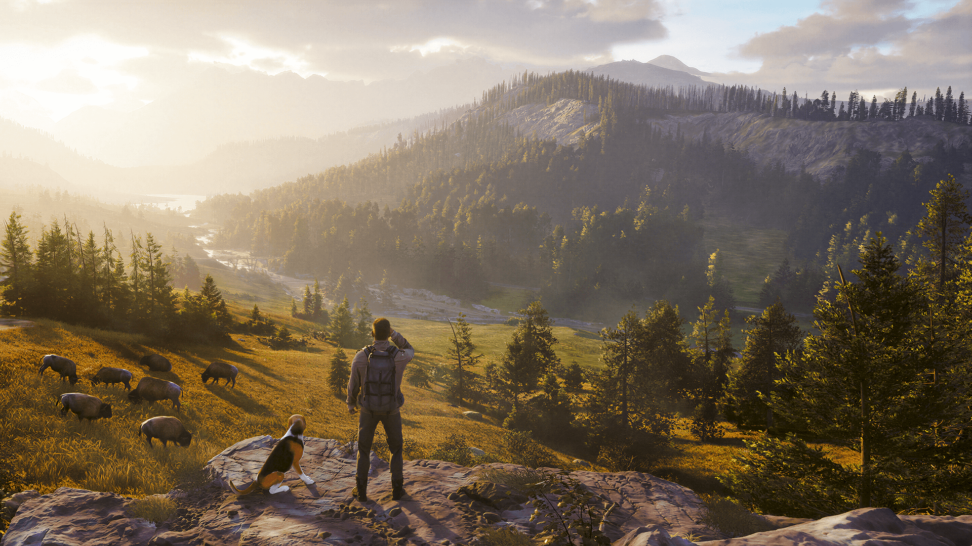 Who's a Good Boy? Man's Best Friends Joins Your Hunting Adventures in Way of the Hunter 2